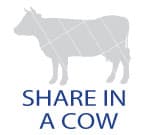 Share In A Cow